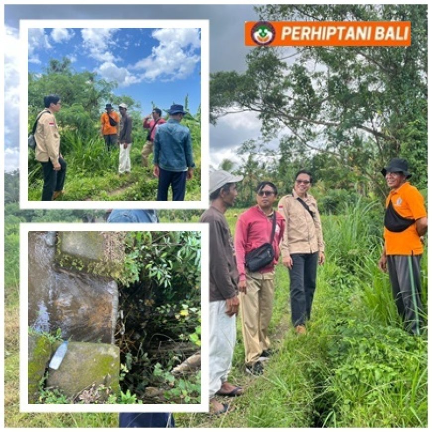 Demi Air ke Sawah, Tim Verifikasi IRPIP Turun ke Subak Aan