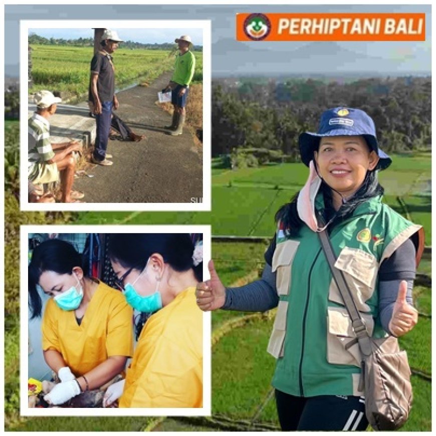 drh. Ni Ketut Subudhiasri: Kecil-Kecil Cabe Rawit, Menggerakkan Subak