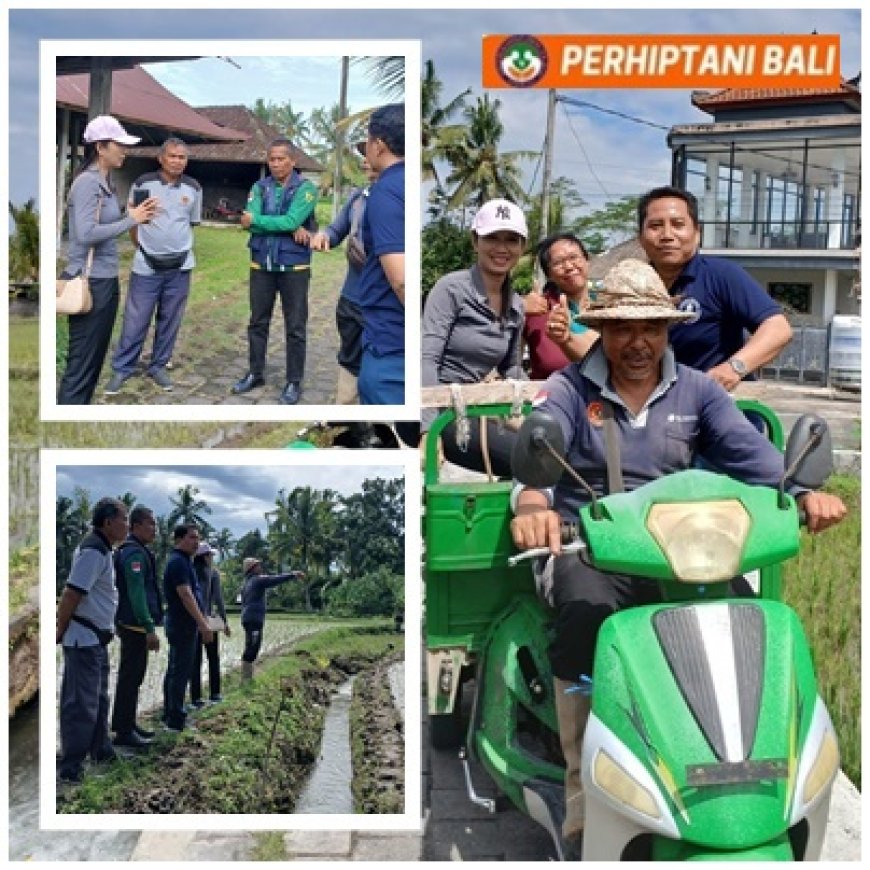 Subak Pulagan Menolak Tumbang