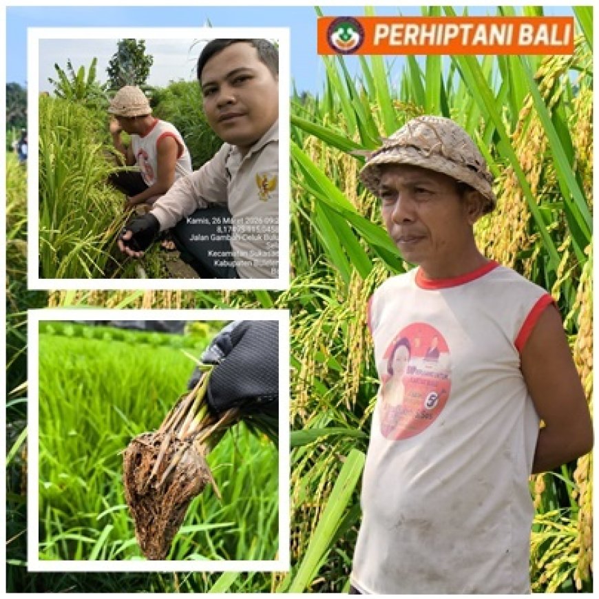 “Sekali Tanam, Tetap Mandiri”