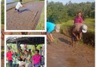 Hari Ketiga, Petani Batukaru Langsung Turun ke Sawah