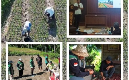 “BERANI” Lahan Bera Jadi Cuan