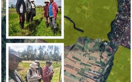 Tak Mau Air Seret, Dinas–Penyuluh–Petani Bergerak Cepat