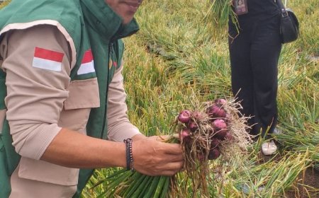 Bawang Songan Disasar, Buleleng–Bangli Matangkan Skema Pasar