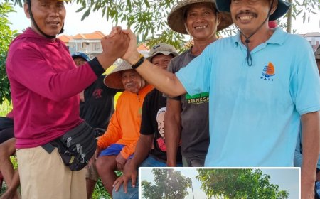 Kian Kompak, Intaran Adu Gengsi Panen