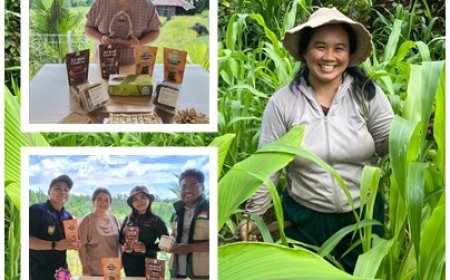Cece Buktikan Hilirisasi Sorgum Dongkrak Ekonomi Desa