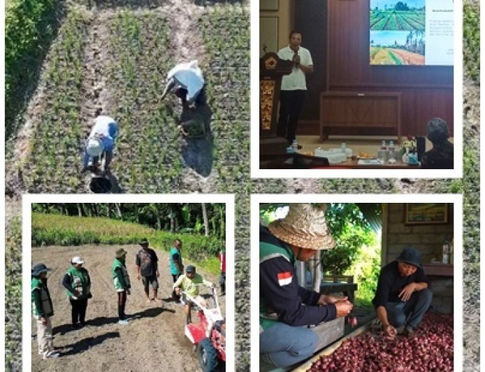 “BERANI” Lahan Bera Jadi Cuan