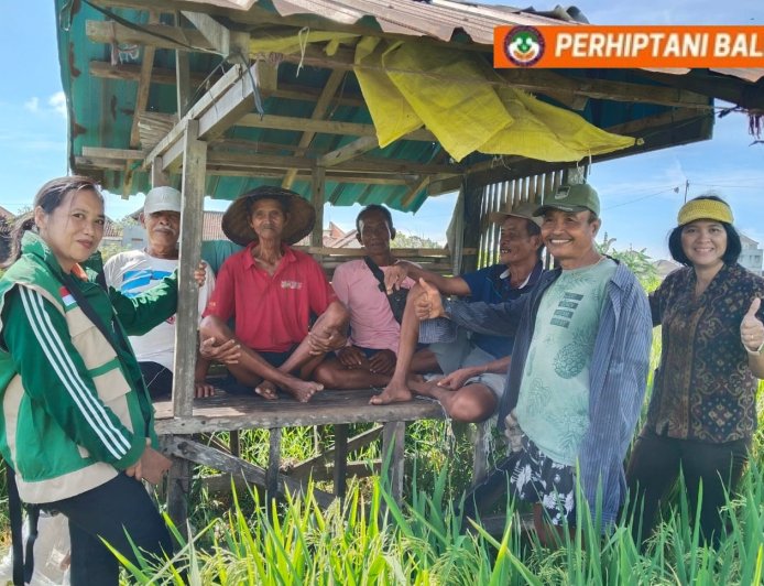 “Irigasi Pulih, Petani Subak Kerdung Sumringah”