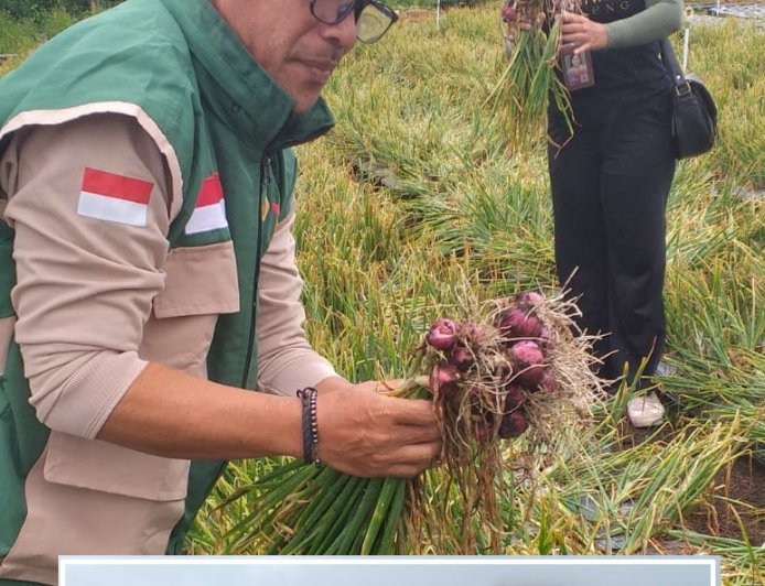 Bawang Songan Disasar, Buleleng–Bangli Matangkan Skema Pasar