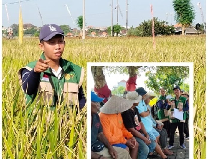 Dari Sawit ke Subak, David Pilih Mengabdi di Bali