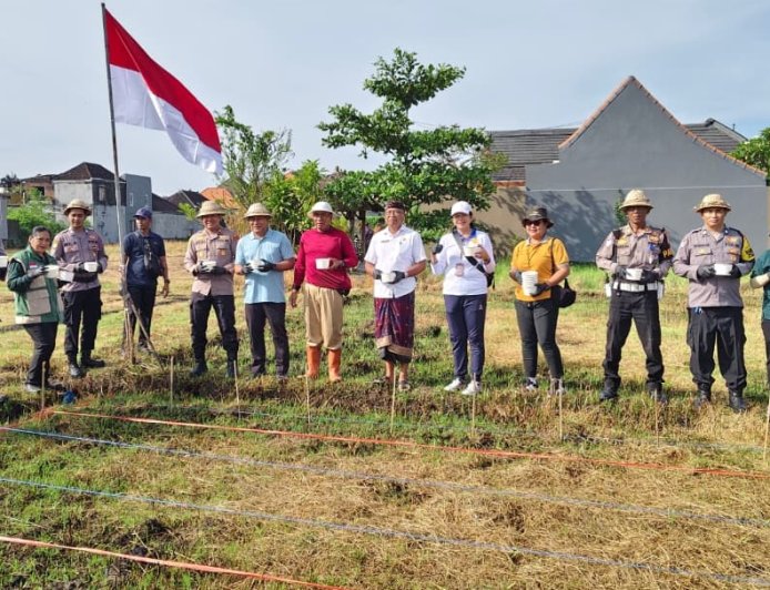 Tanam Jagung Bareng, Lahan Bera Disulap Jadi Produktif