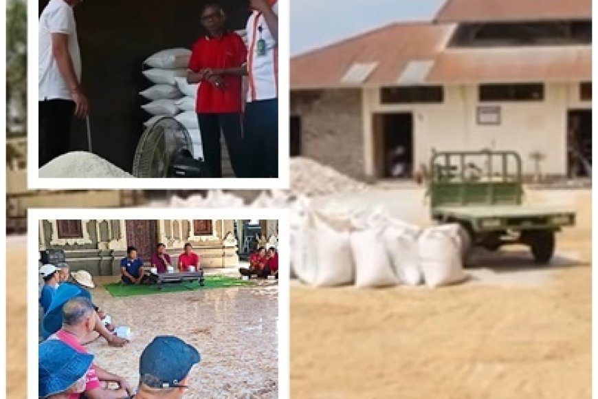 Gabah Tak Boleh Jatuh!