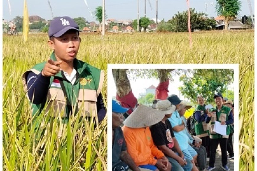 Dari Sawit ke Subak, David Pilih Mengabdi di Bali
