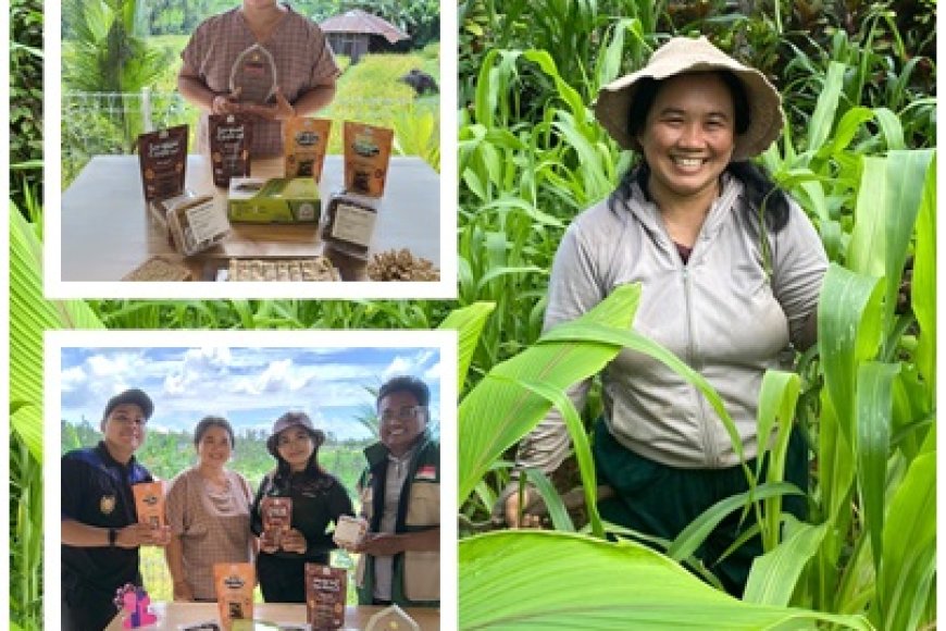 Cece Buktikan Hilirisasi Sorgum Dongkrak Ekonomi Desa