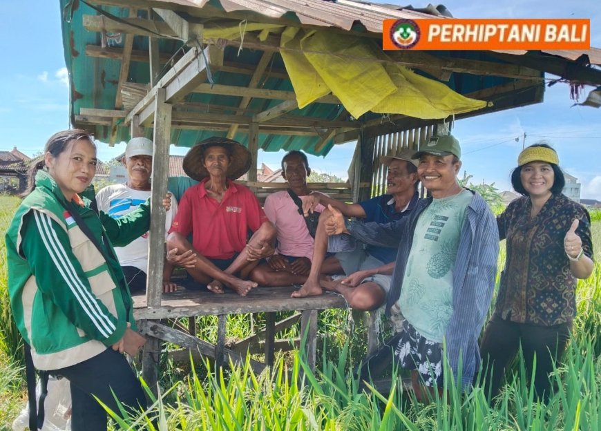 “Irigasi Pulih, Petani Subak Kerdung Sumringah”