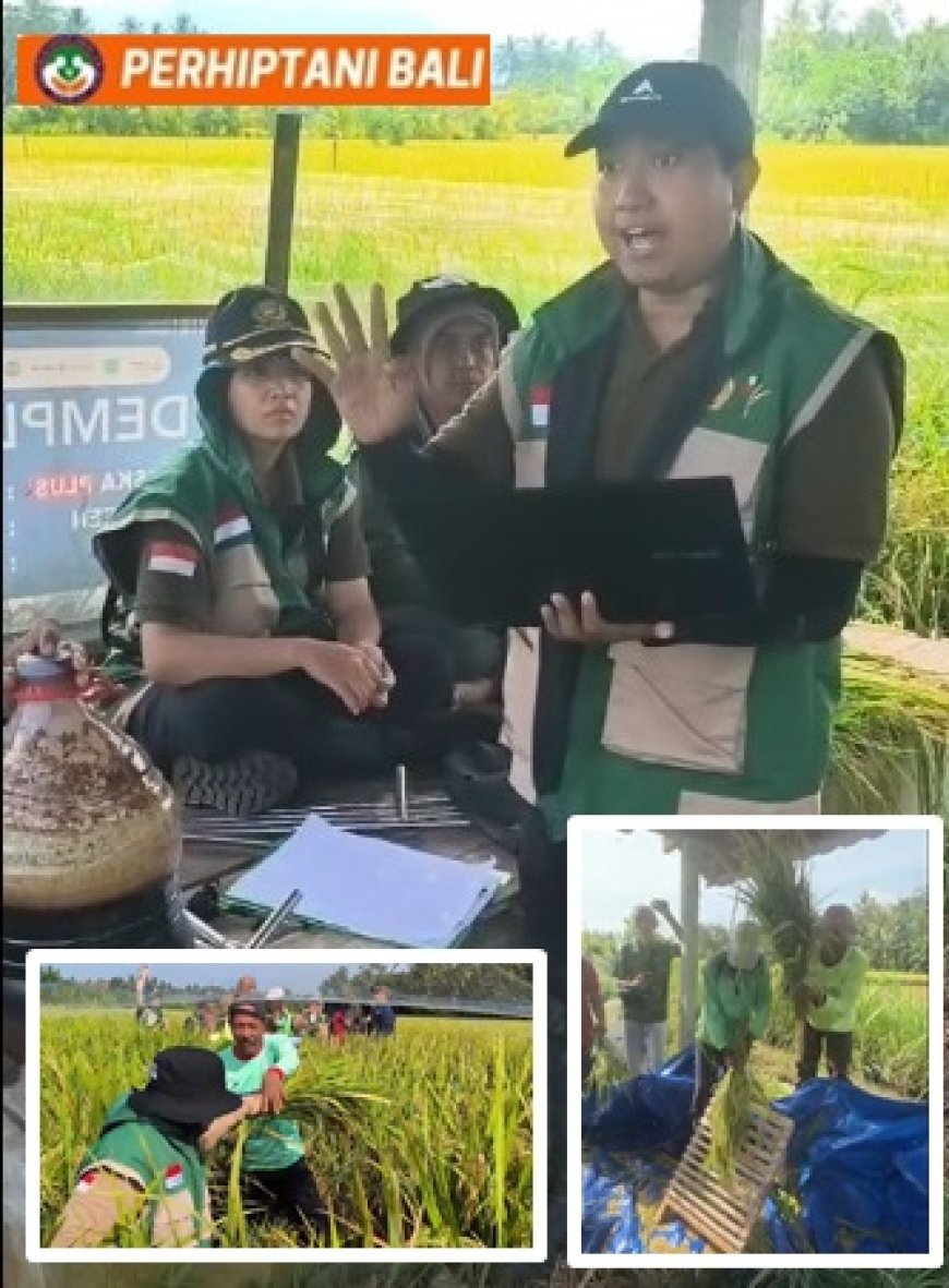 Racikan Penyuluh Dongkrak Hasil Panen