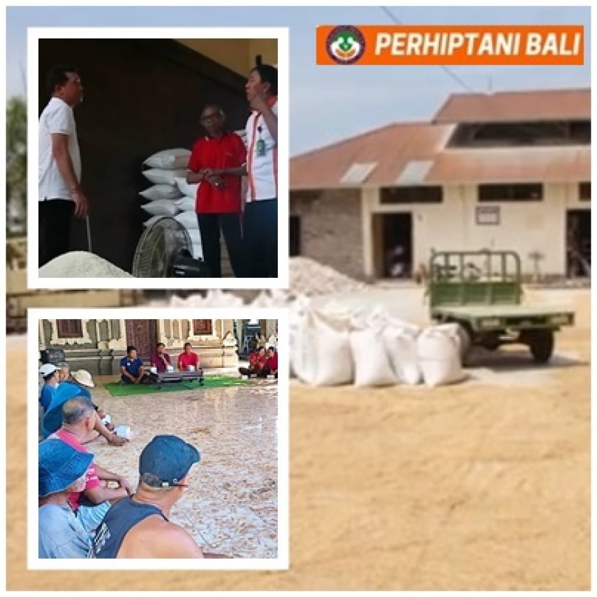 Gabah Tak Boleh Jatuh!