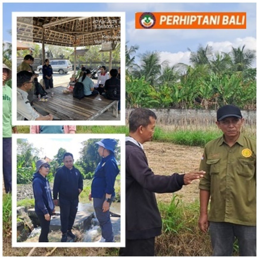 Nuswantoro Pacu Mandiri Benih