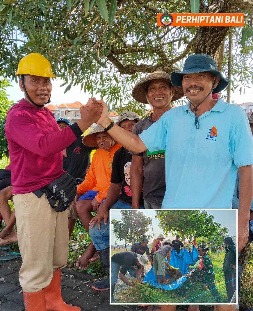 Kian Kompak, Intaran Adu Gengsi Panen