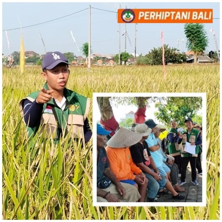 Dari Sawit ke Subak, David Pilih Mengabdi di Bali