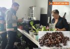 BIDIK HILIRISASI:  Kunker Kelsi Bali, Kopi Wanagiri Didorong Tembus Hotel Berbintang
