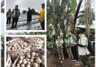 “Petani Muda Bangkit, Kelsi Bali Turun Gunung Kawal Kentang Buleleng”