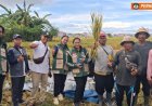 Subak Kerdung Tersenyum, Panen Tembus 11 Ton/Ha