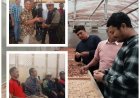 DPW PERHIPTANI Bali–SASHI Cetak Pekaseh Pelopor AWD