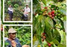 Kopi Wanagiri Naik Kelas, Teknologi dan Zero Waste Jadi Senjata