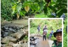 Dam Parit Ditunggu, Petani Bidik Tiga Panen