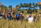 Jaga Cicih Gondrong, Bali Lahirkan Sri Sedana