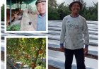 Jurus Lembu Lestari Dongkrak Produktivitas
