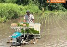 Penyuluh Pacu Modernisasi, Petani Babakan Tua Makin Ngebut
