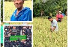 Di Antara Vila, Nyoman Suanda Tetap Menanam