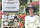 Gobleg Bali Coffee Perkuat Kopi Premium Berbasis Agrowisata
