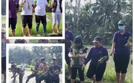 Gertam Serentak di Pejeng Kaja, Petani–Penyuluh Kompak