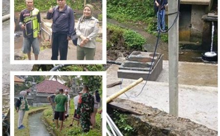 Kejar Air, Kejar Panen! IRPOM Jadi Andalan Empat Subak di Temukus
