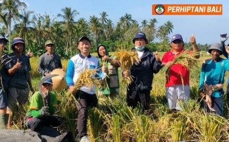 Geliat Penyuluh BPP Selemadeg Dongkrak Produktivitas Padi