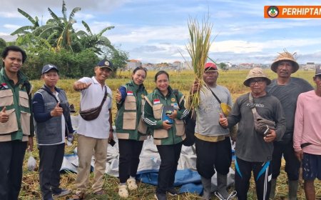 Subak Kerdung Tersenyum, Panen Tembus 11 Ton/Ha