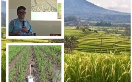 PERHIPTANI Bali Pacu AWD, Petani Batukaru Bidik Carbon Trading