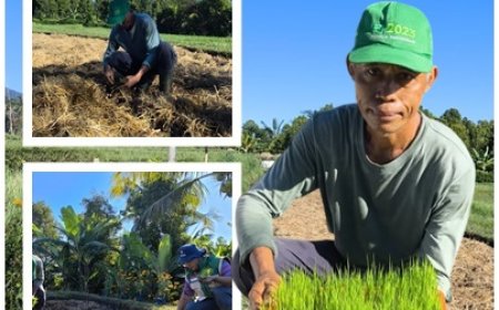Made Sedaka: “Pertanian sekarang harus lebih cerdas dan efisien”