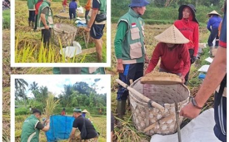 “PPL Payangan Kawal Produktivitas Padi”