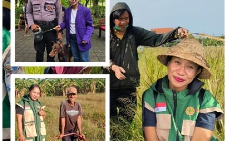 Man Hetik: Dulu Tangani K9 Barack Obama, Kini Dampingi Petani Bali