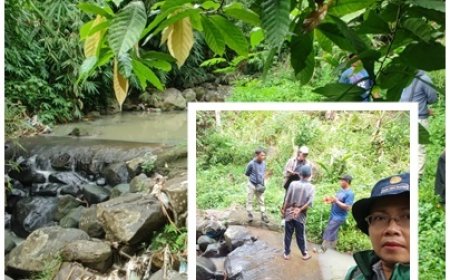 Dam Parit Ditunggu, Petani Bidik Tiga Panen