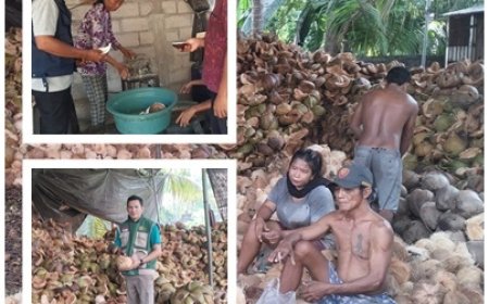 Kelapa Pacung Naik Kelas, VCO Jadi Mesin Ekonomi Desa
