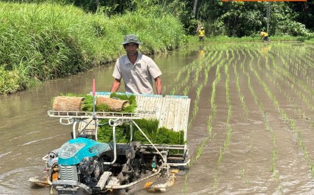 Penyuluh Pacu Modernisasi, Petani Babakan Tua Makin Ngebut
