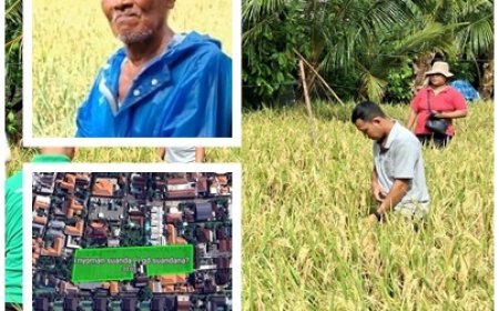 Di Antara Vila, Nyoman Suanda Tetap Menanam