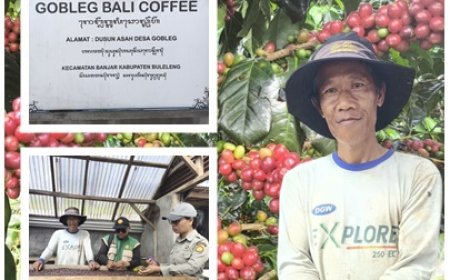 Gobleg Bali Coffee Perkuat Kopi Premium Berbasis Agrowisata