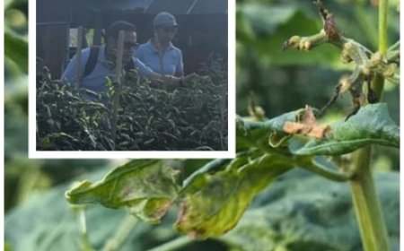 Petani Lapor, SIGAP TANI Langsung Meluncur