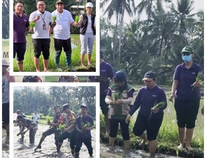 Gertam Serentak di Pejeng Kaja, Petani–Penyuluh Kompak